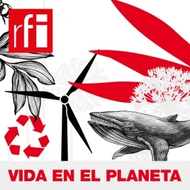 Vida en el Planeta