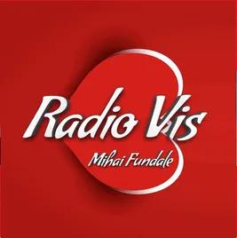 Radio Vis