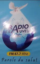 Radio le Sauveur FM