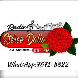 Radio Stereo Dalia