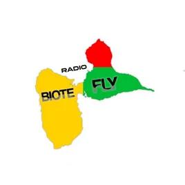 RADIO BIOTE FLY