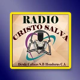 Ministerio Cristo Salva HN